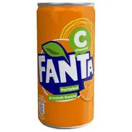 FANTA PORTAKAL TENEKE 200ML