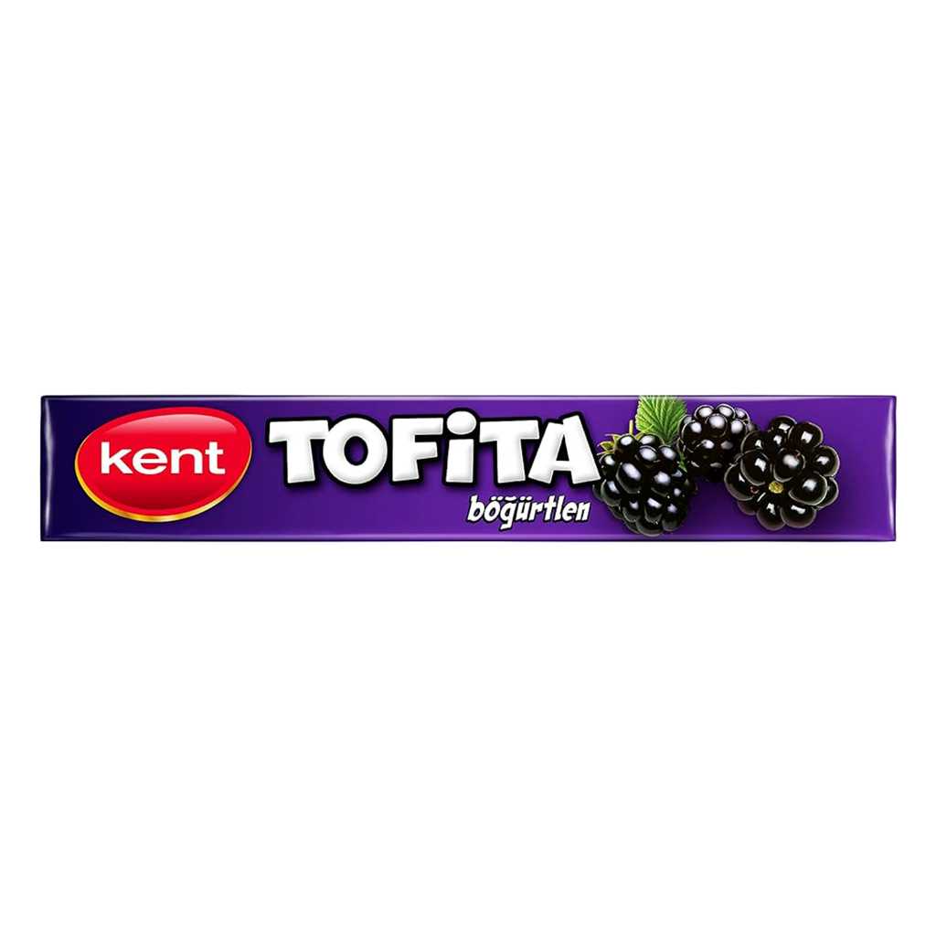 TOFİTA BÖĞÜRTLEN 47GR