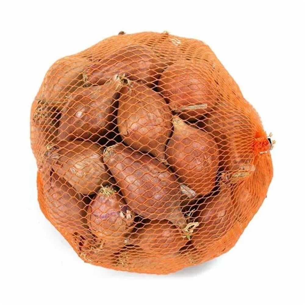 PAKET ARPACIK SOĞAN