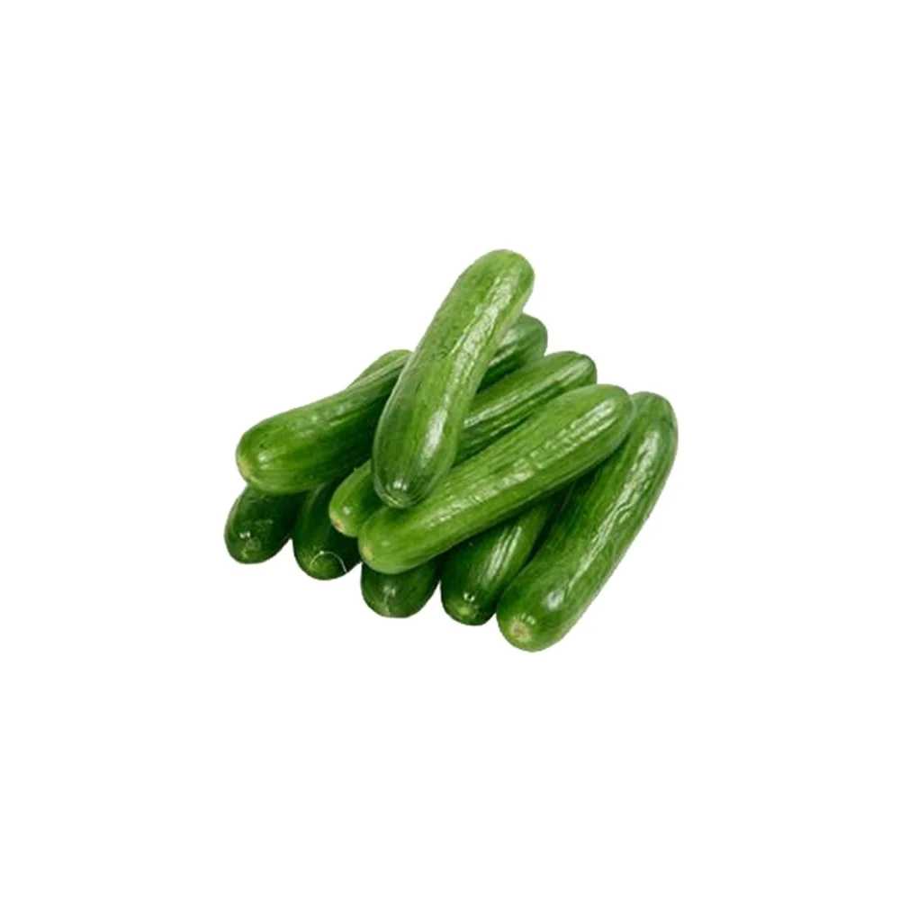 SALATALIK