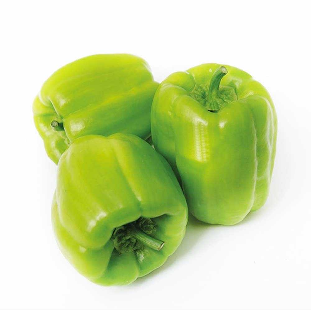 DOLMA BİBER