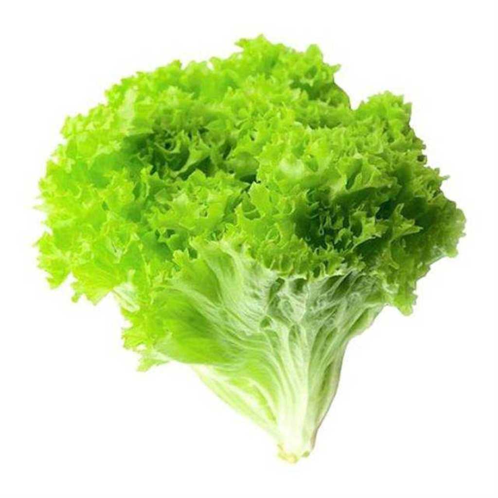 KIVIRCIK