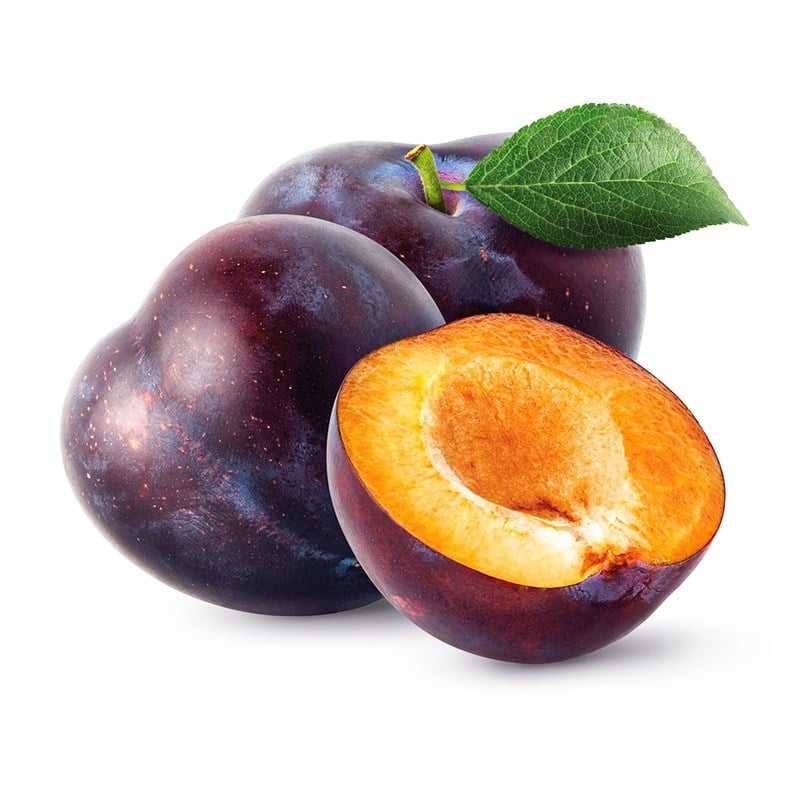ERİK ANJELİK