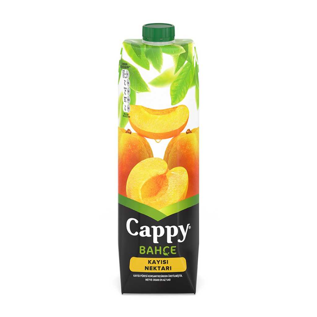 CAPPY KAYISI 1L