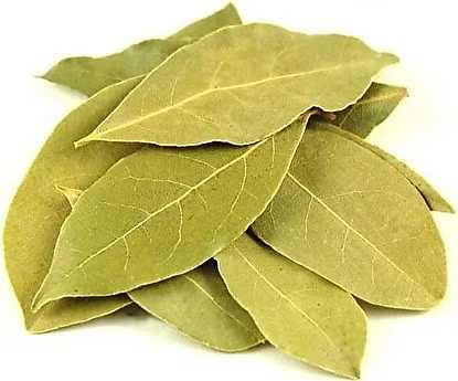 CHEF DEFNE YAPRAGI 20GR
