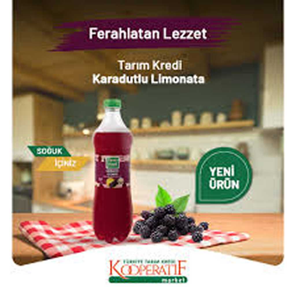 KOOP. TK LİMONATA KARADUT AROMALI 1LT